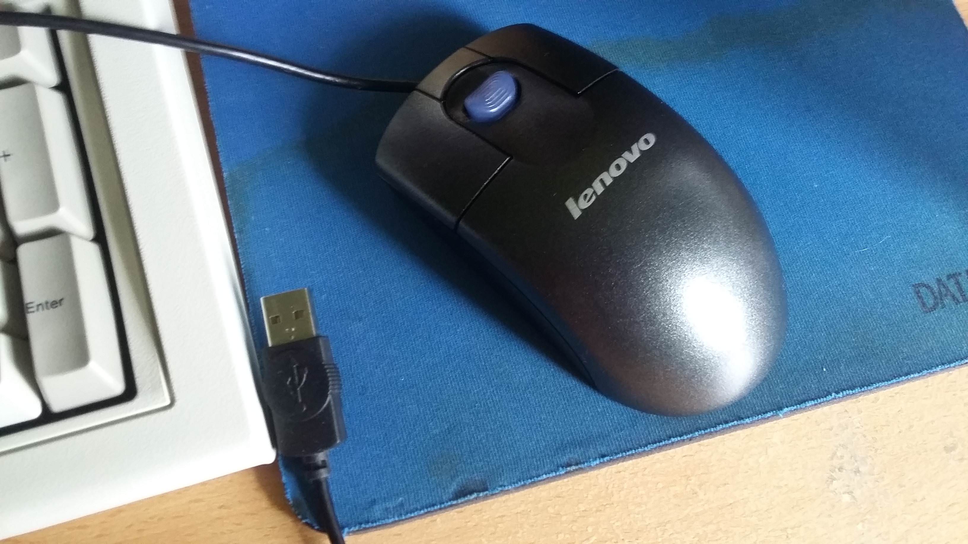 фотография мышки